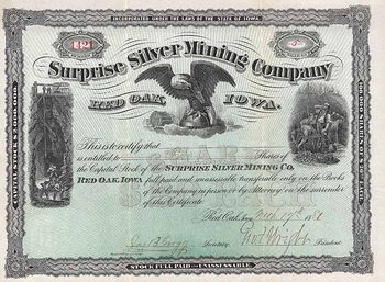 Surprise Silver Mining Co.