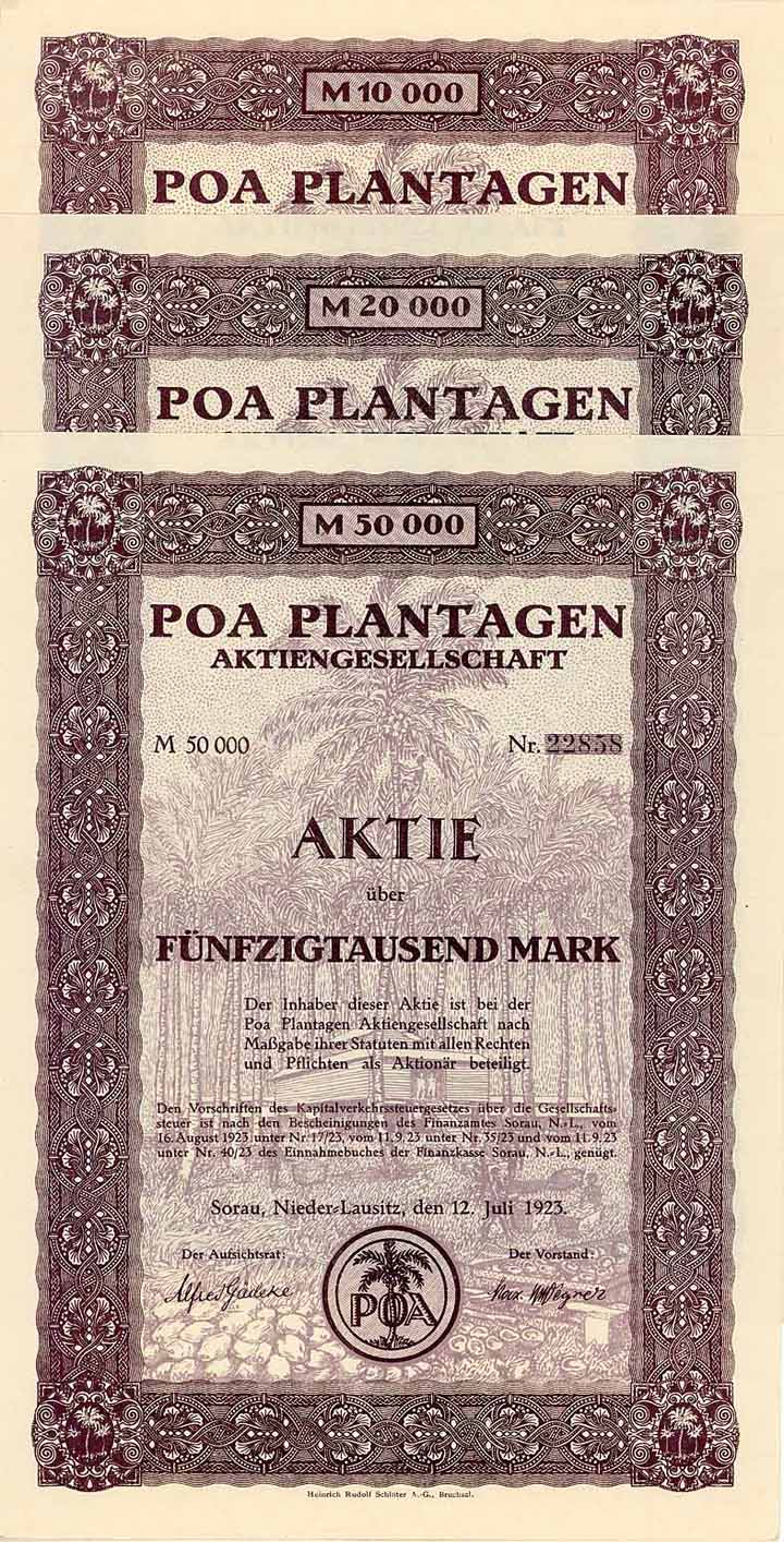 Poa Plantagen AG (3 Stücke)