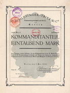 C. Schlesinger-Trier & Co. KGaA