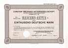 Curator Treuhand AG Wirtschaftsprfungsgesellschaft