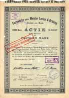 Farbwerke vorm. Meister Lucius & Br�ning