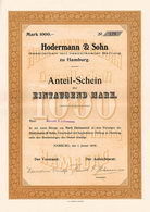 Hodermann & Sohn GmbH