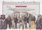 AG Zoologischer Garten in K�ln