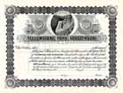 Yellowstone Park Association