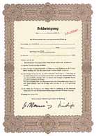 R�benanbauer-Interessengemeinschaft-Warburg