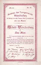 Turngemeinde Westhofen