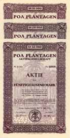 Poa Plantagen AG (3 Stcke)
